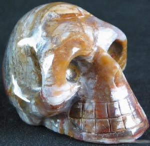 Petrified Wood Skulls