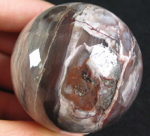 Petrified Wood Sphere