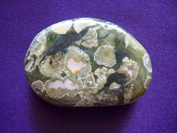 Rhyolite Rainforest Jasper Palm Stone 