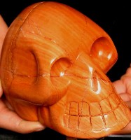 Red Woodlike Skulls