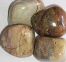 Silver Leaf Jasper Tumbled Stones