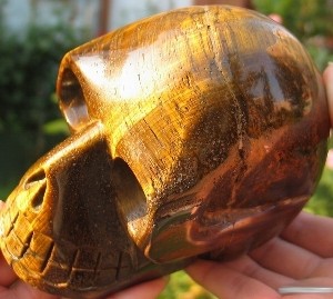 Large Tigereye Skull