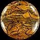 Tiger Skin Jasper