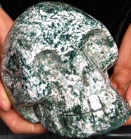 Tree Agate Skulls