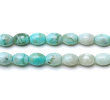 Turquoise  Jasper Beads