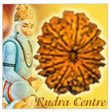 11 Mukhi Rudraksha Beads