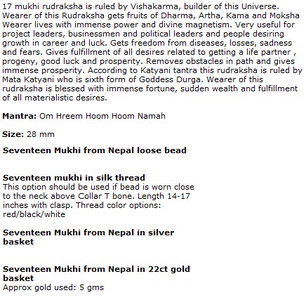17 Mukhi Rudraksha Beads From Nepal Java Indonesia