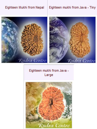 18 Mukhi Rudraksha Beads From Nepal Java Indonesia