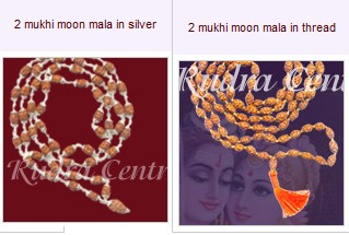 2 mukhi moon mala rudraksha in silver  