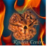 3 Mukhi Rudraksha From Nepal, Fire God Agnidev