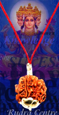 Brahma Rudraksha Pendants