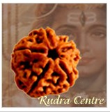 5 Mukh iRudraksha Beads From Nepal