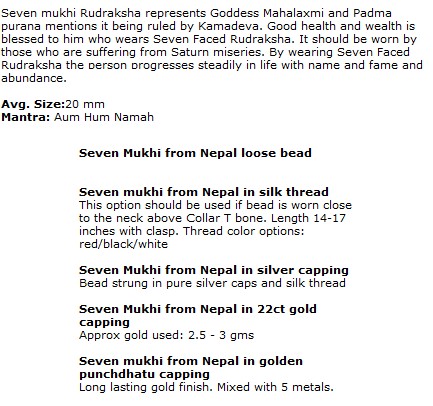 Seven Mukhi Rudraksha Beads
