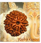 8 Mukhi Rudraksha Beads