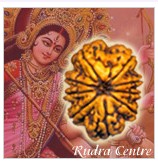 9 Mukhi Rudraksha Beads