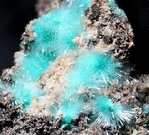 Aurichalcite  