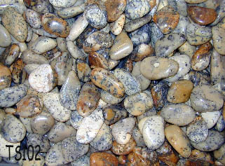 Dendrite Tumbled Stone