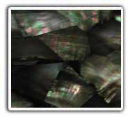 Black Mother Of Pearl Wall Art Tiles