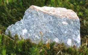 Rough Pieces Of Presli Bluestone 