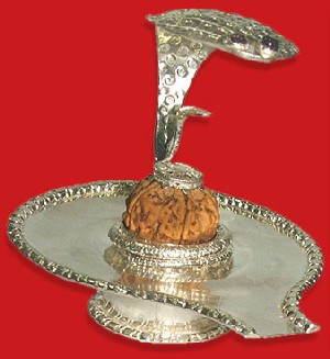 Rudra-Kalagni Shivling