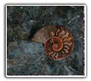 Labradorite Wall Art And Floor, Walls, Shower Tiles And Floor, Walls, Shower Tiles