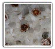 Fossil Quartz Art Work Tiles