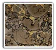 Septarian Nodule Wall Art Tiles