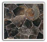 Smoky Quartz Art Work Tiles