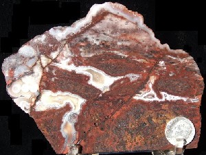 Crazy Lace Agate Slabs
