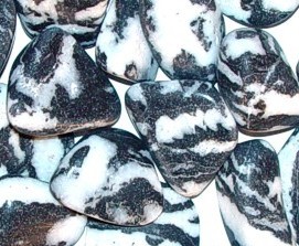 Zebra Stone Tumbled