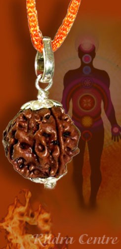 Agni rudraksha pendant