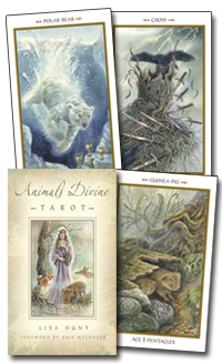 Tarot Cards