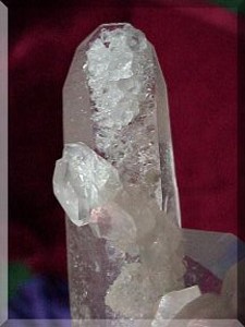 Barnacle Quartz Crystals