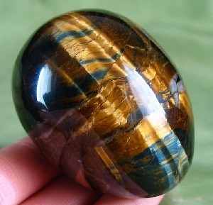 Blue Gold Tiger Eye Eggs