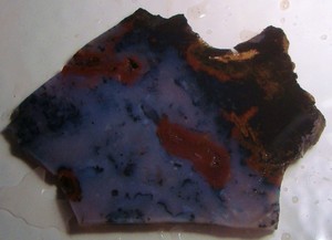 Blue And Red Agates With Dendritic Floaters