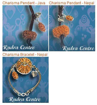 Charisma Mukhi Rudraksha Pendant And Bracelets