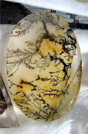 Dendritic Agate Collection Pieces