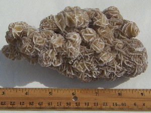 Extra Large Desert Rose Selenite