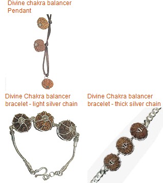 Divine Chakra Balancer rudraksha 
