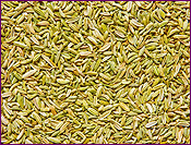 Fennel Seeds