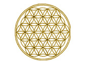 FLOWER OF LIFE