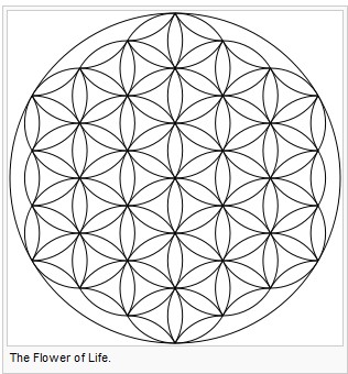 Flower Of Life Seeds