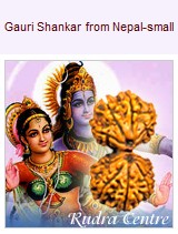 Gauri Shankar Mukhi Rudraksha Beads