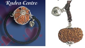 Healing heart rudraksha 