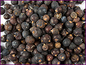 Juniper Berries