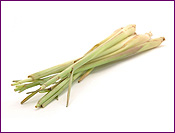 Lemongrass