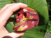 Mookaite Jasper Skulls