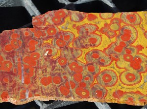 Morgan Hill Poppy Jasper