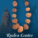 Siddh Kanthi rudraksha