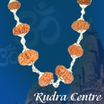 Siddha kanthi rudraksha with silver caps